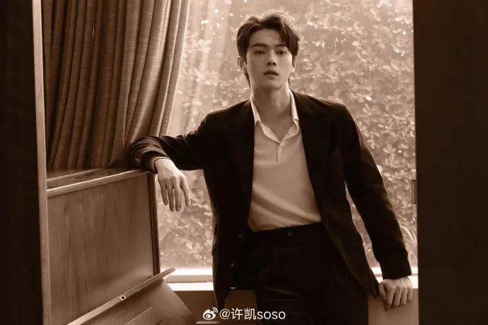 图片来源:许凯官方微博账号网友评论此前,北京德翔律师事务所主任安翔