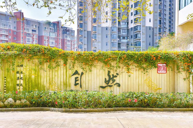 南宁市百花岭路小学的炮仗花盛放,一朵朵橙红色的小花点缀枝丫,像一串