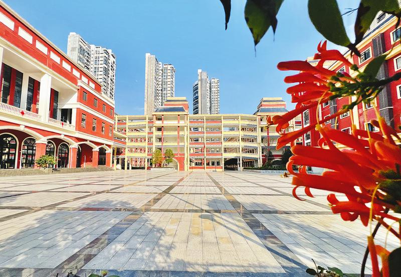 南宁市青秀区凤岭北路中学炮仗花迎风怒放,静待学子返校.