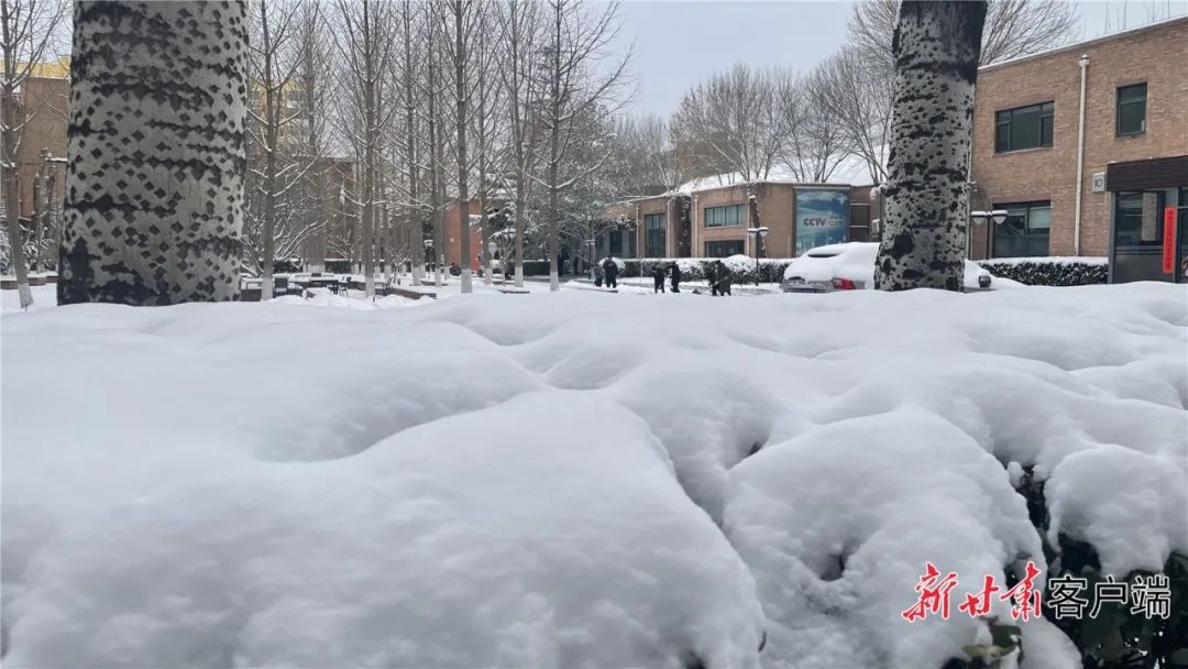 甘肃56个县区出现小雪或雨夹雪,这些客运班线停运!_新浪财经_新浪网
