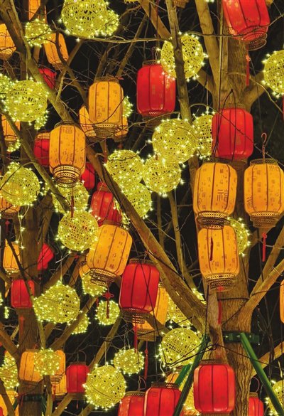 日记中的新年风景(图)