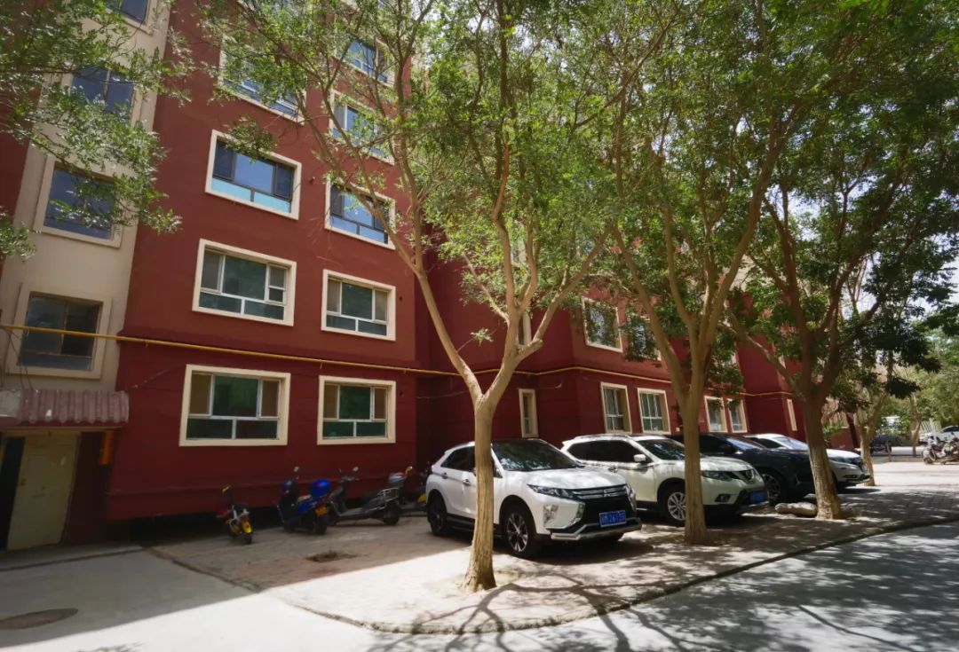 若羌:城乡建设成果铺就宜居幸福"底色"_新浪财经_新浪网