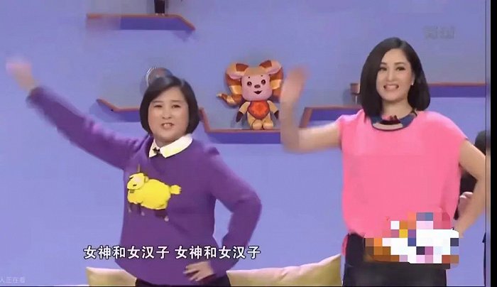 在2015年春晚小品《女神与女汉子》中,贾玲跟瞿颖塑造了两个截然不同
