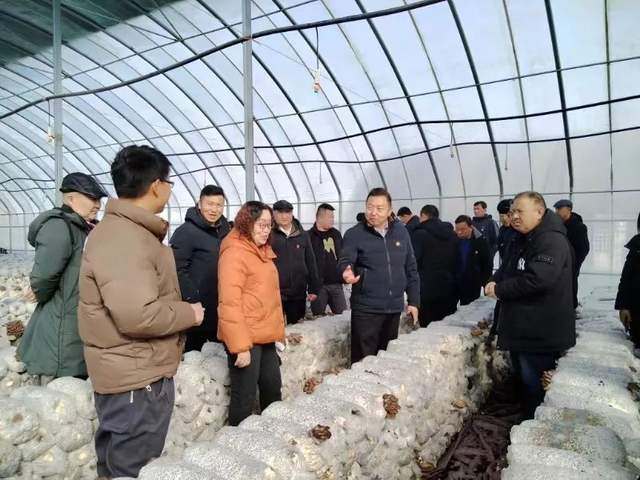 和静县人大常委会组织各级人大代表视察调研经济高质量发展