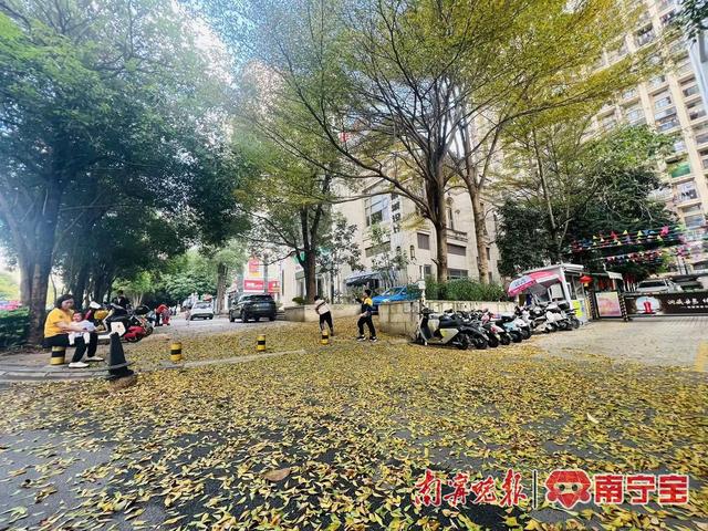 南宁市气象台预计,22日晚上到23日白天,南宁城区阴天有