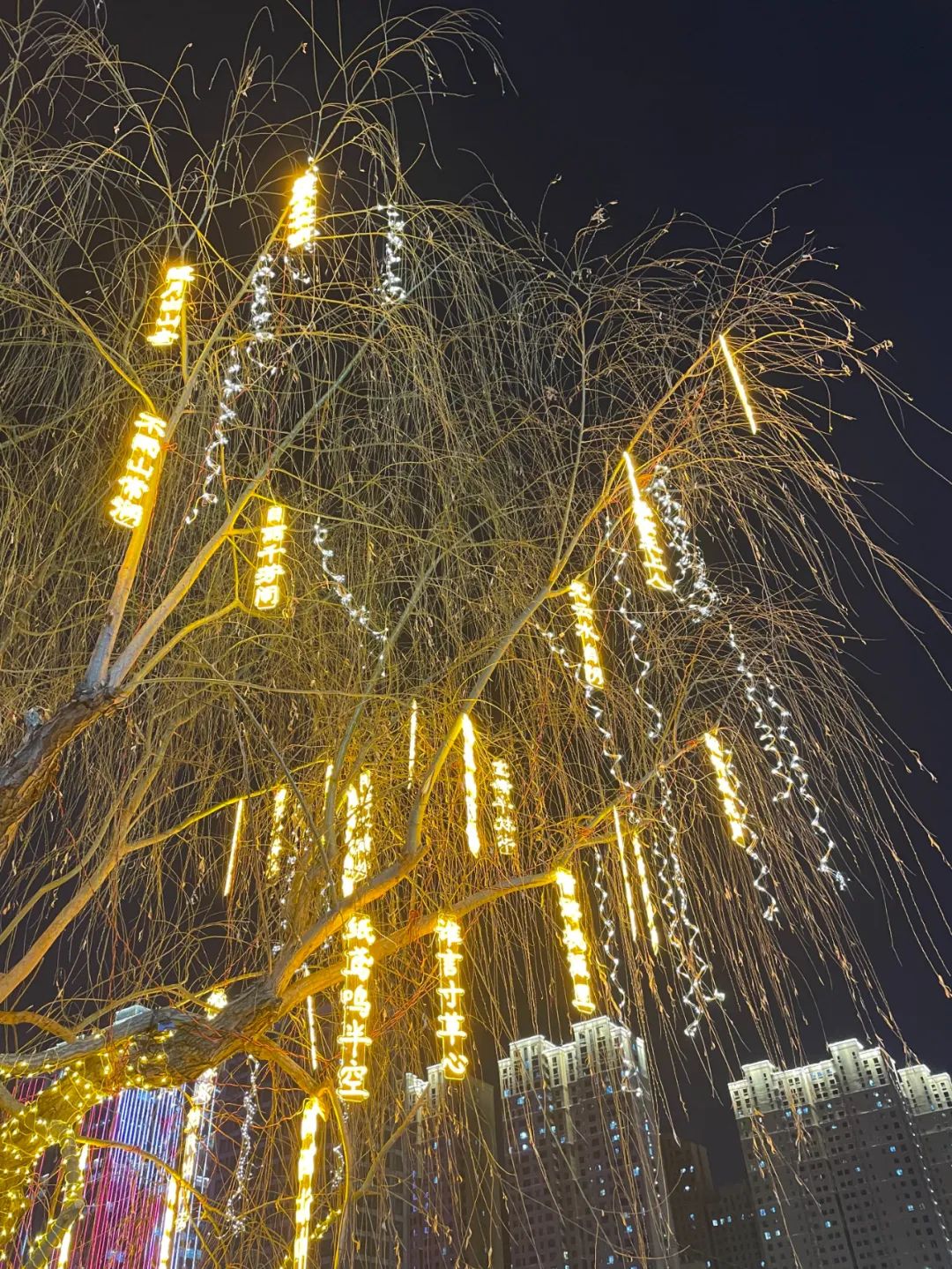 我们的节日·精神的家园 | 石家庄正太广场花灯璀璨迎元宵|石家庄市