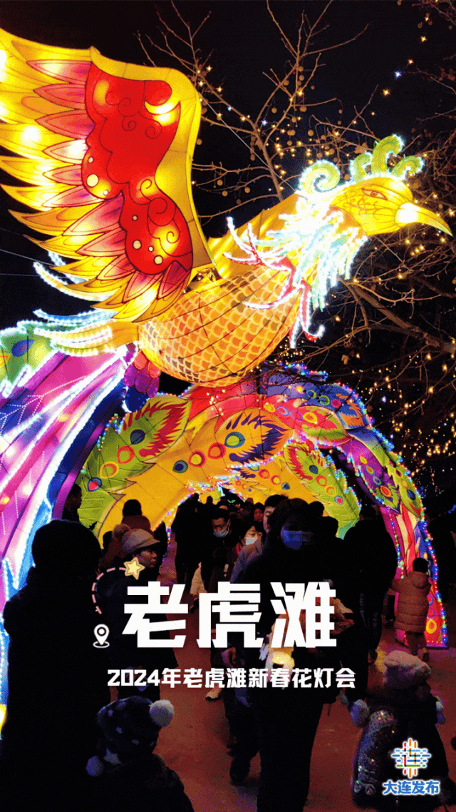 今天,大连元宵花灯,烟花去哪看?_新浪财经_新浪网
