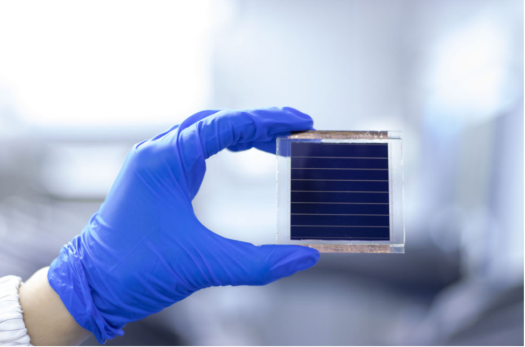 这是南京大学谭海仁课题组研制的全钙钛矿光伏组件实物.