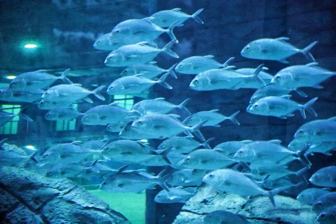 浙江人"家门口的公园",周末放松正好!|义乌_新浪财经_新浪网