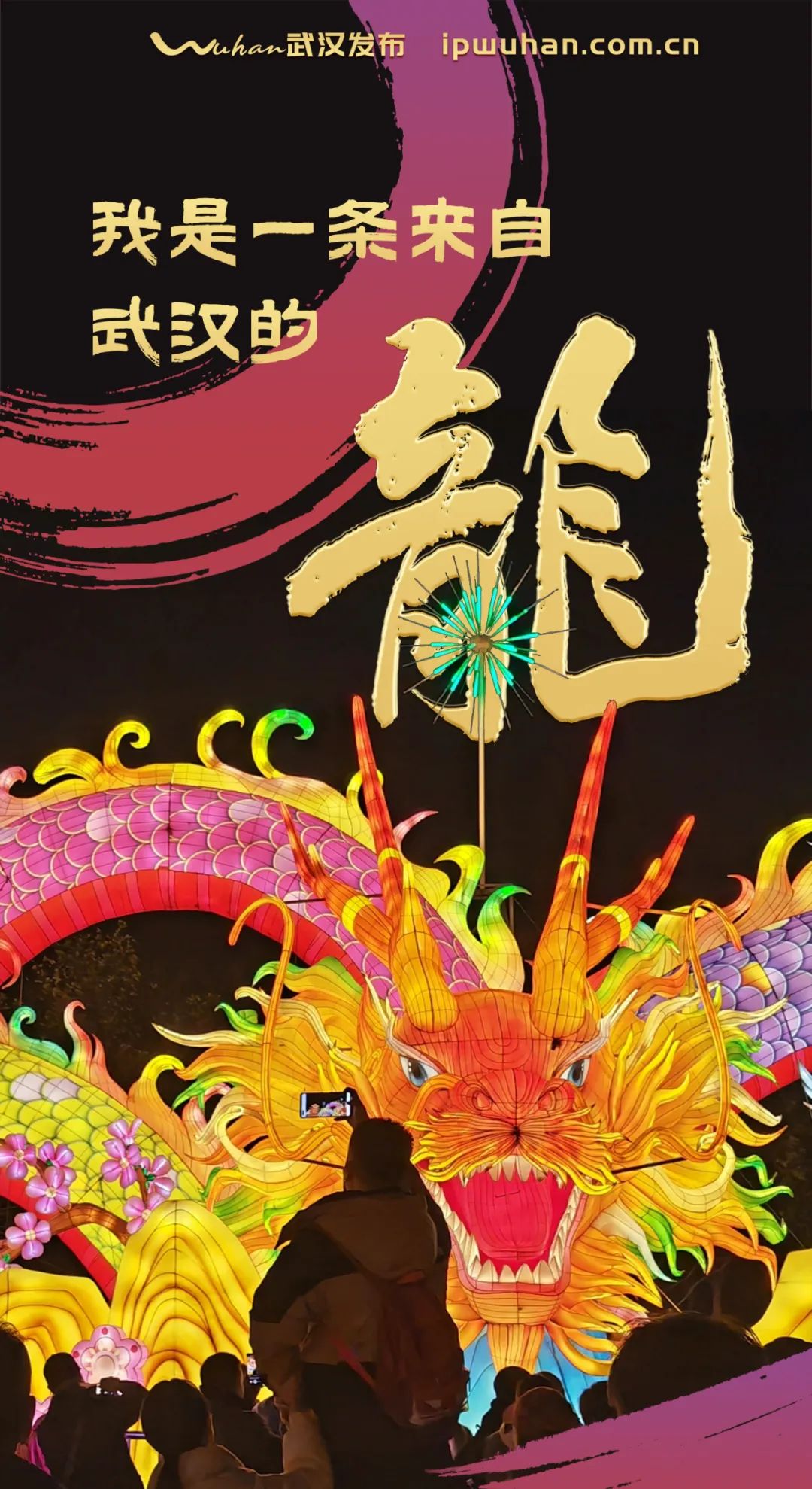我是一条来自武汉的龙|摄影_新浪财经_新浪网