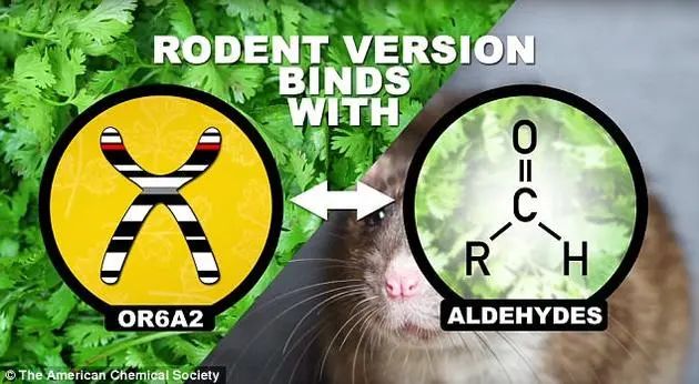 基因_新浪财经_新浪网