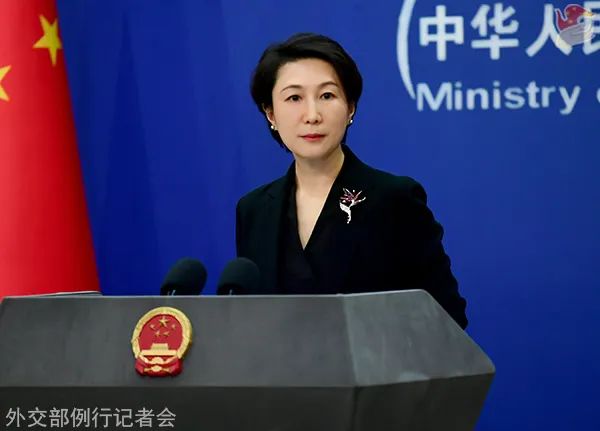毛宁资料图.图源:外交部网站