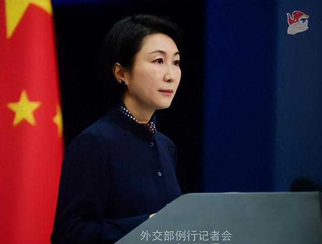 毛宁资料图.图源:外交部网站