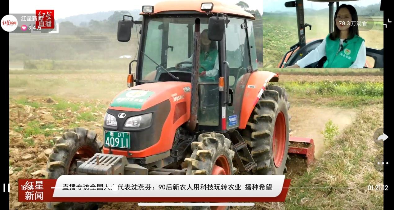 近日,在二十四节气中的"雨水"当天,红星新闻记者在田地里直播专访沈燕