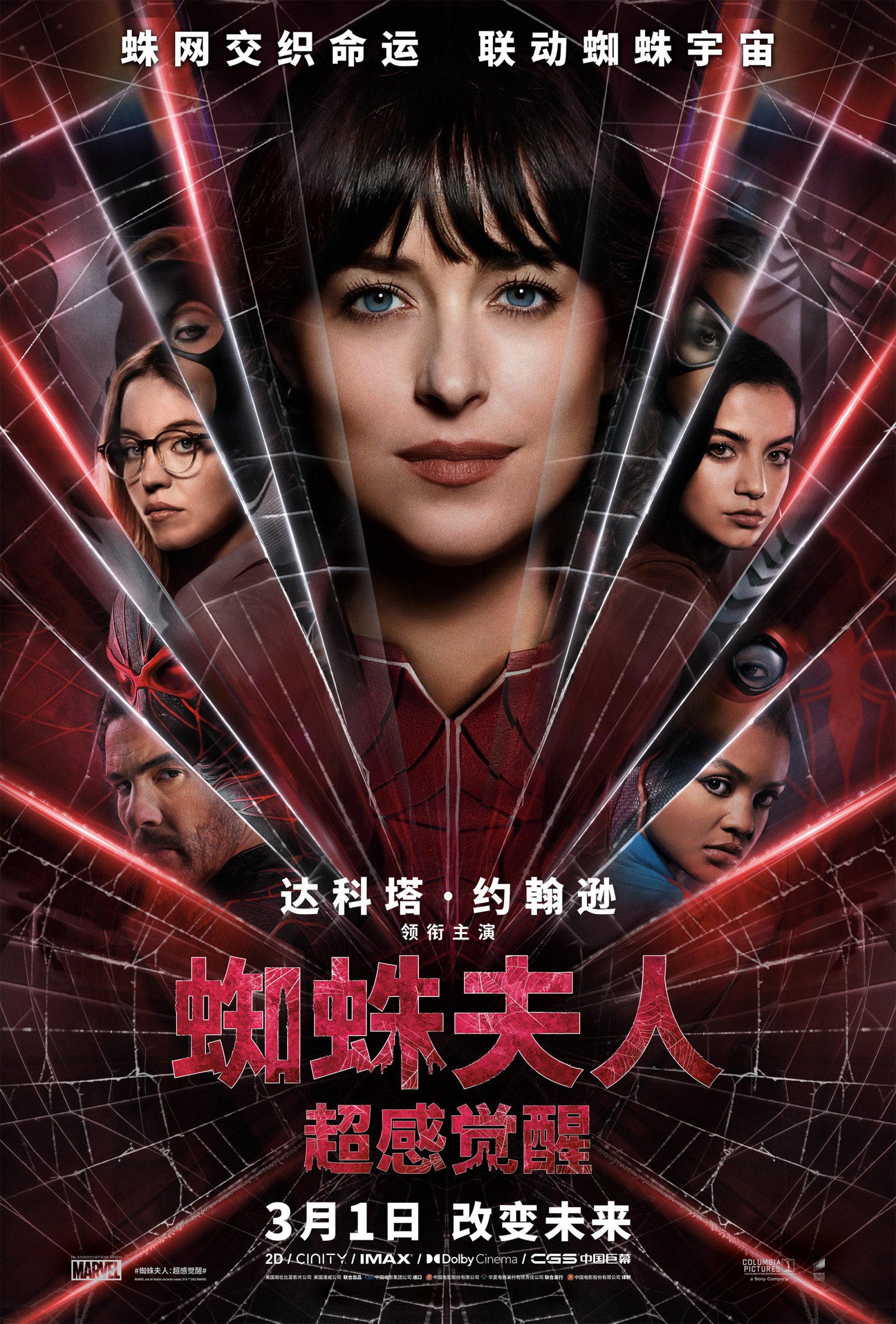《蜘蛛夫人》将于3月1日在中国内地上映