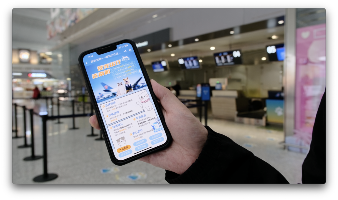 宠物同机飞动动手指即可预约