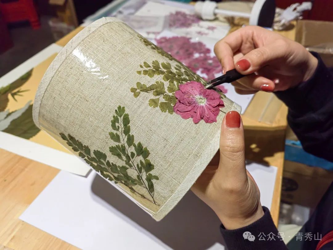 来青秀山,玩转植物压花diy