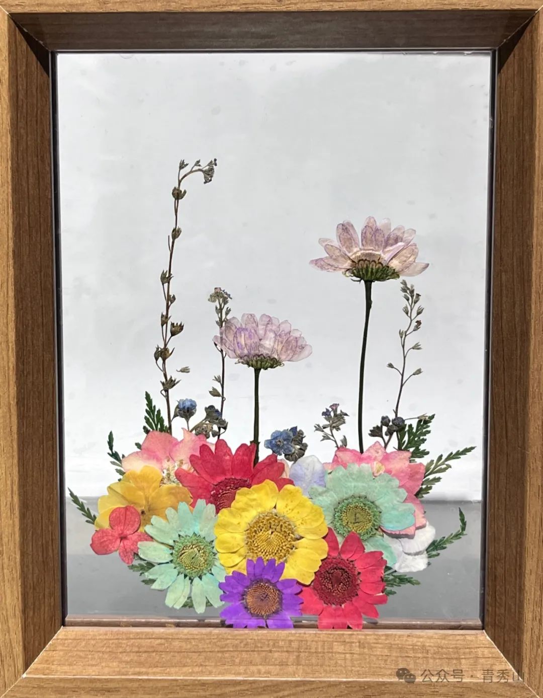 来青秀山,玩转植物压花diy