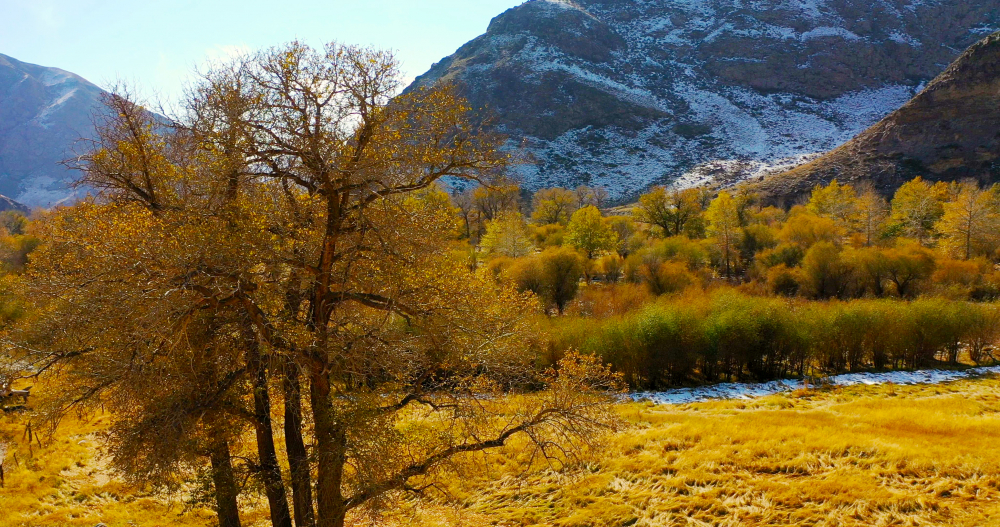 新疆巴州和静2024年将精心打造新4a级景区|新疆_新浪财经_新浪网