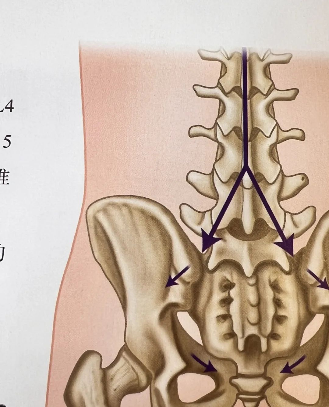 新浪财经_新浪网