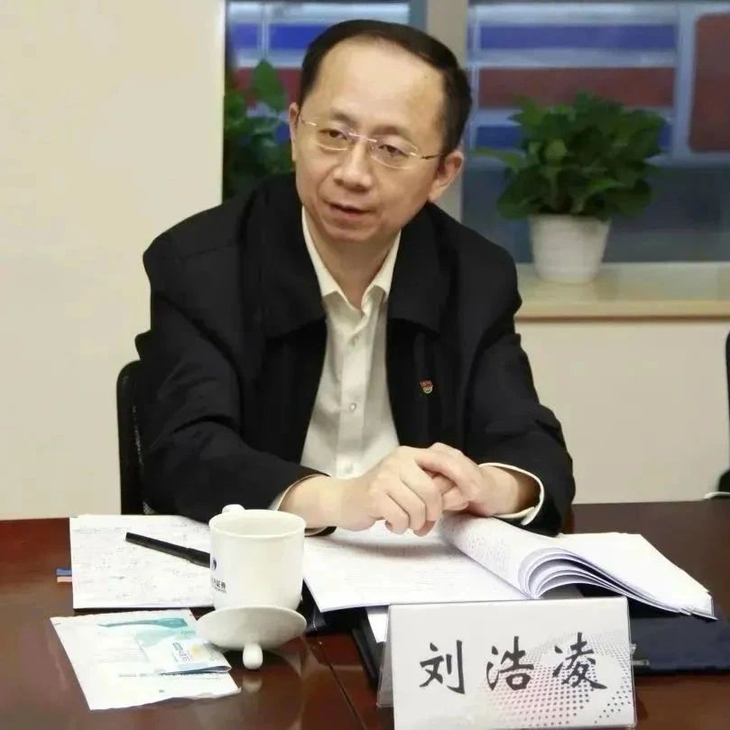 70后刘浩凌出任中投公司总经理|金融学|居伟民|投资|董事会|公开市场_新浪新闻