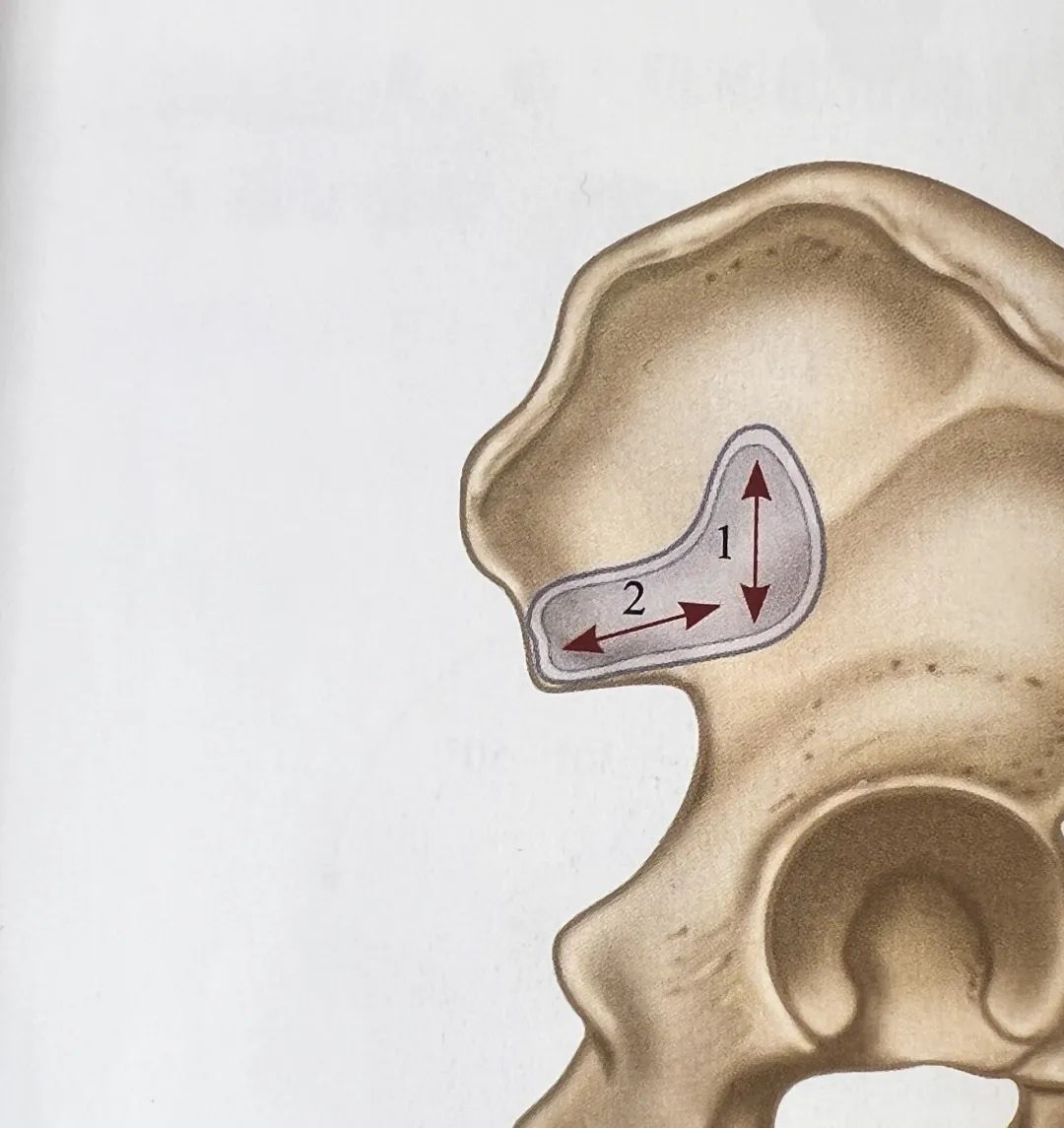 新浪财经_新浪网