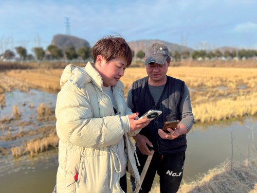 "四流合一"普惠通衢|嘉兴市_新浪财经_新浪网