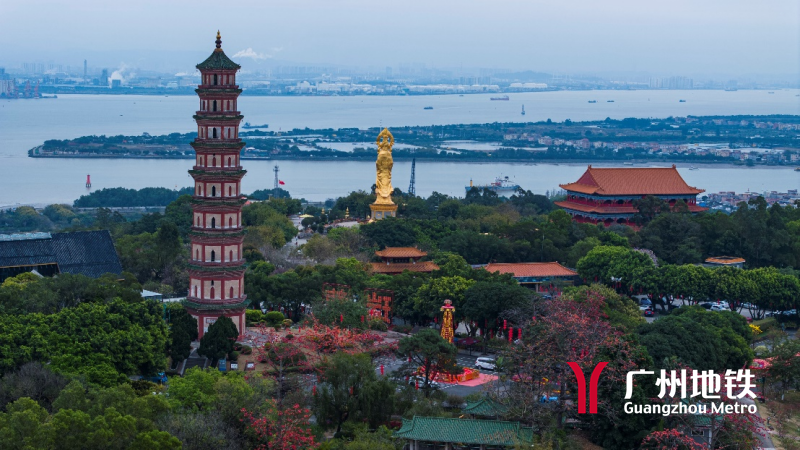 这个景点值得推荐(互动有礼)|莲花山_新浪财经_新浪网