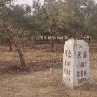 瓣瓣同心丨京津冀协同发展十周年：“三界碑”下看变迁|开发区|通州区|三界碑_新浪新闻