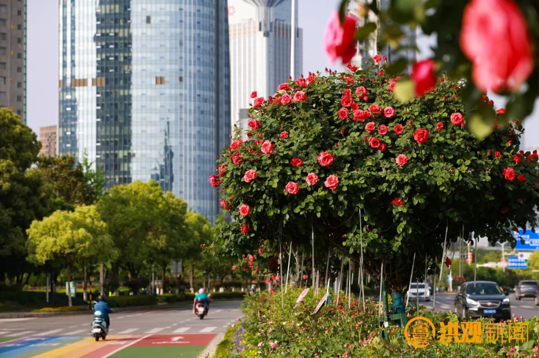 南昌市_新浪财经_新浪网