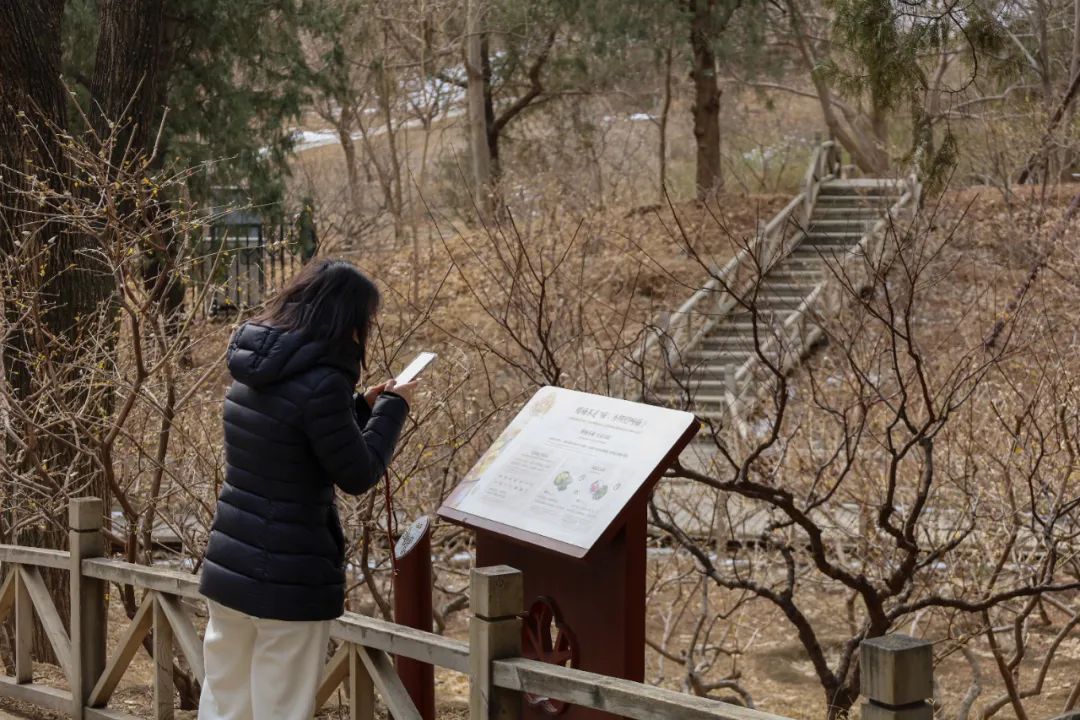 本周末将迎盛花期_新浪财经_新浪网