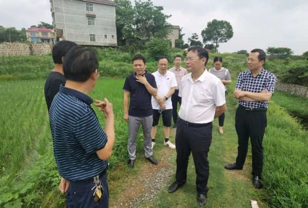 湖南省邵东市人大常委会:扛牢监督使命 护航高质量发展_新浪财经_新浪