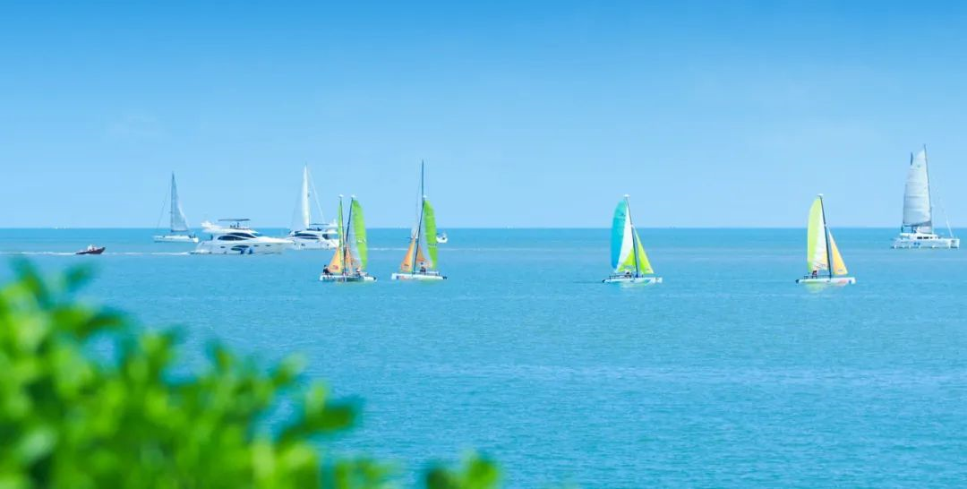 张颂文新剧《猎冰》取景地在海口这里……_新浪财经_新浪网