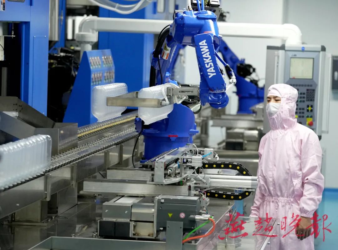 一月一回眸 | 2024年的第二个月:在喜庆祥和的氛围