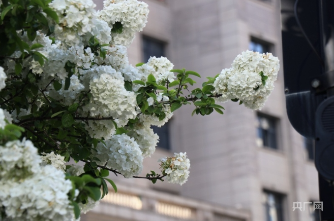 南昌市_新浪财经_新浪网