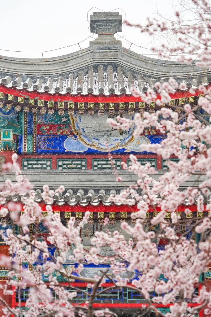 682_1024竖版 竖屏