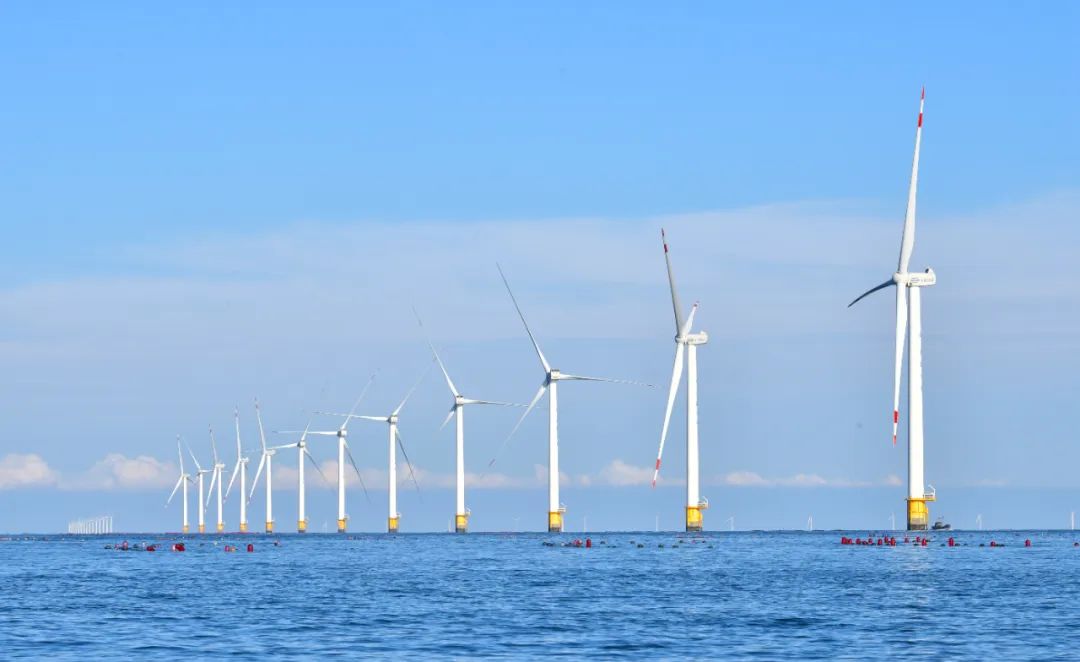 辽宁大连庄河海上风电项目 杨青 摄