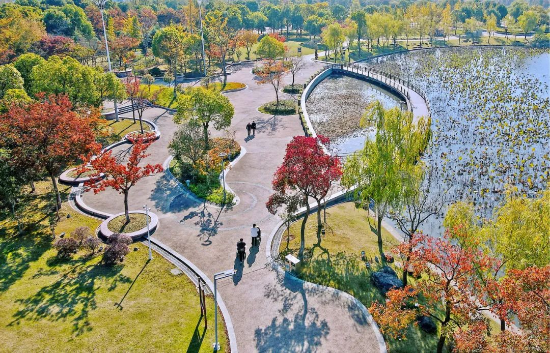 市民在江苏省如皋市龙游河生态公园游玩 吴树建 摄