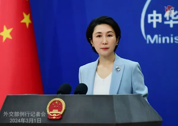 中国外交部发言人毛宁.图源:外交部网站