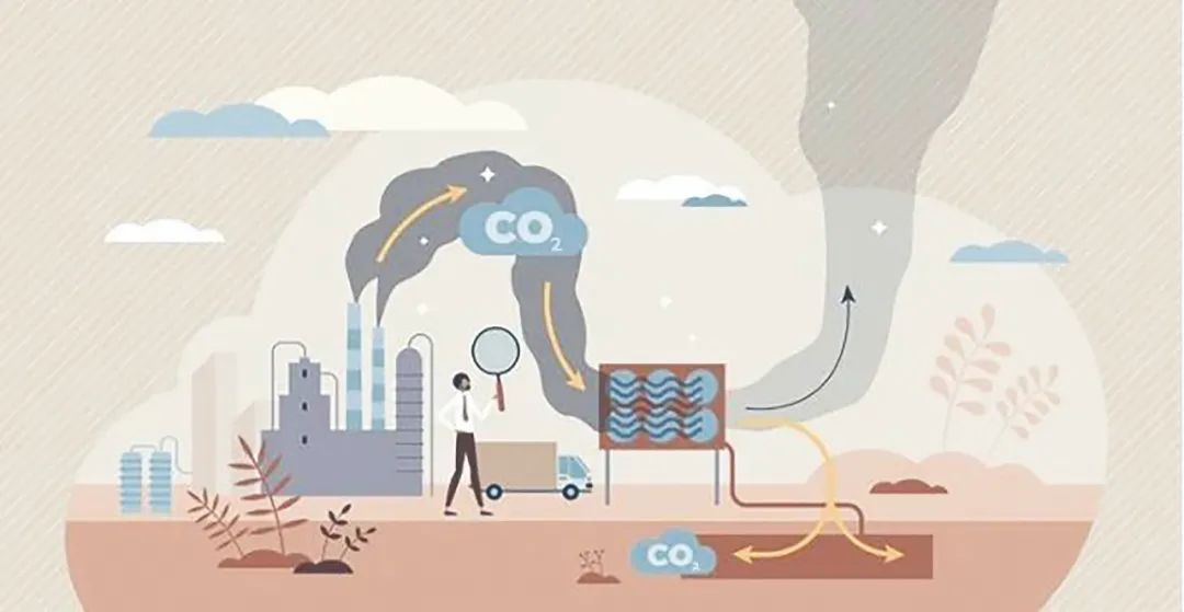 "应尽快完善碳封存政策支持与标准规范体系"|中国_新浪财经_新浪网