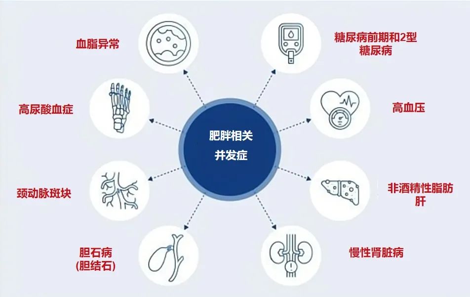 大量研究证明,肥胖是一种多因素疾病,包括生物,遗传,环境因素等[4].