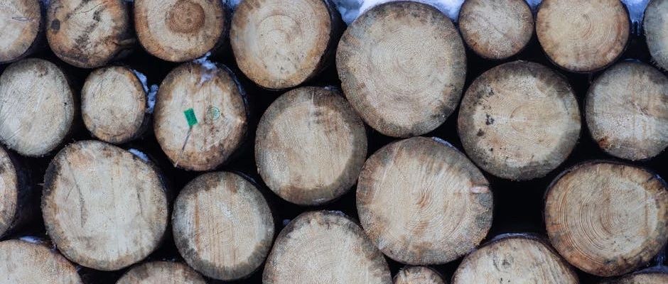 原木上市前瞻（二）