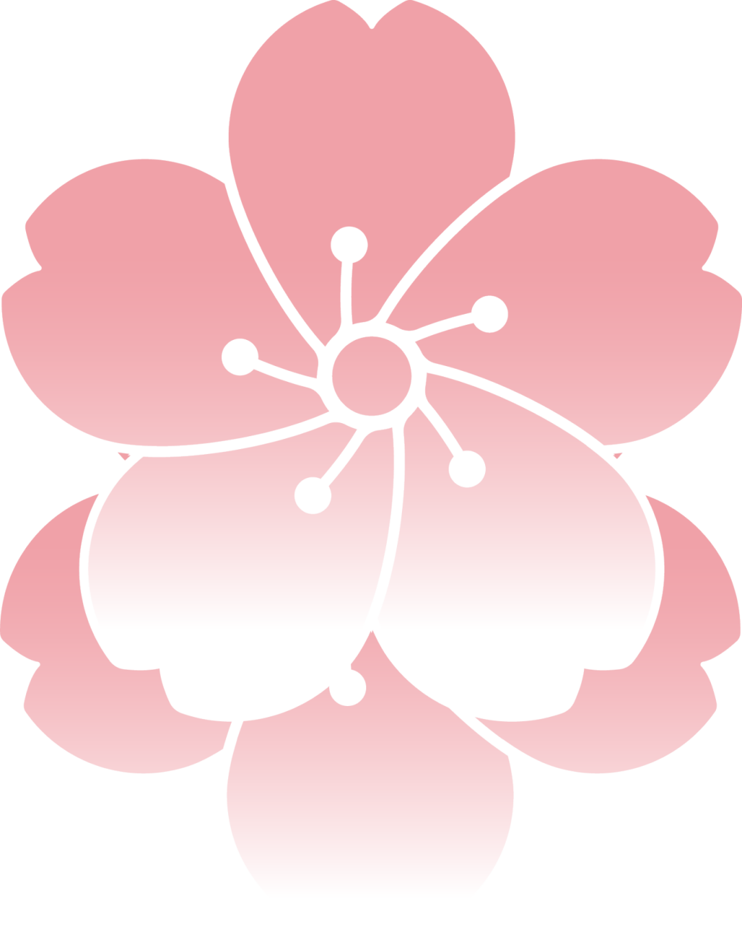 团队游客 贵安樱花园纪念首日封等你开启