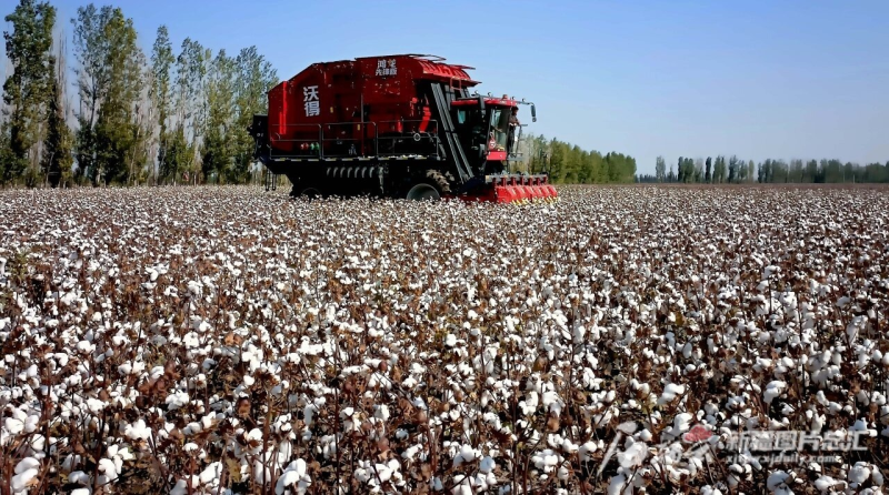 新疆四地入选第一批农业生产全程机械化示范县创建名单|新疆_新浪财经