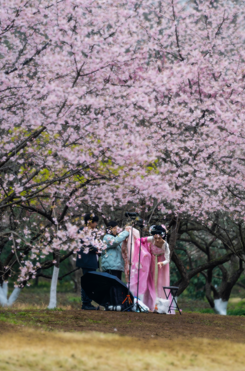 这波潮流,你跟了吗|汉服_新浪财经_新浪网