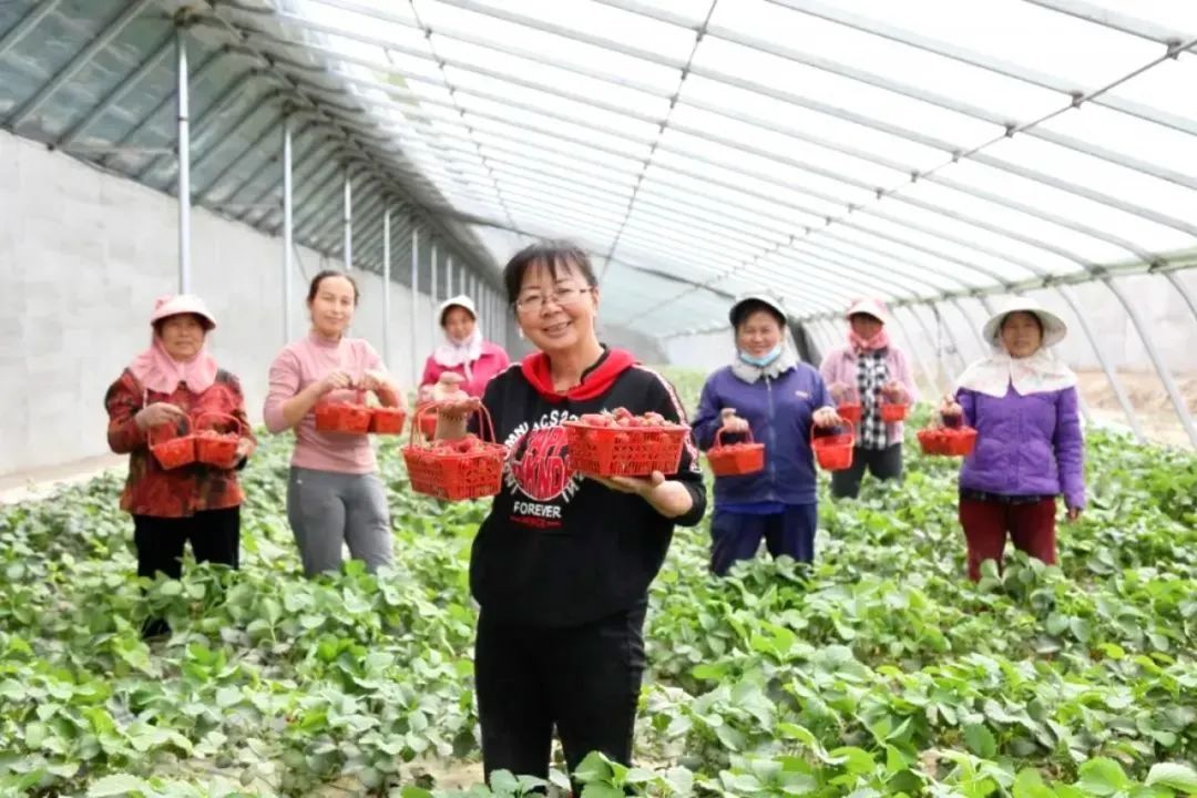 巾帼心向党 奋进新征程|拖拉机_新浪财经_新浪网