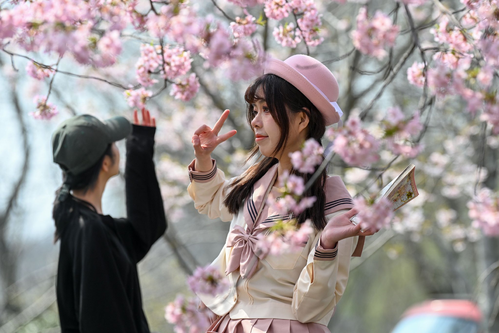 游客在樱花树下拍照.