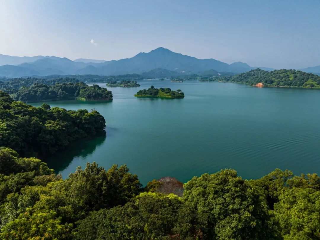 农夫山泉水源地之一千岛湖.企业供图