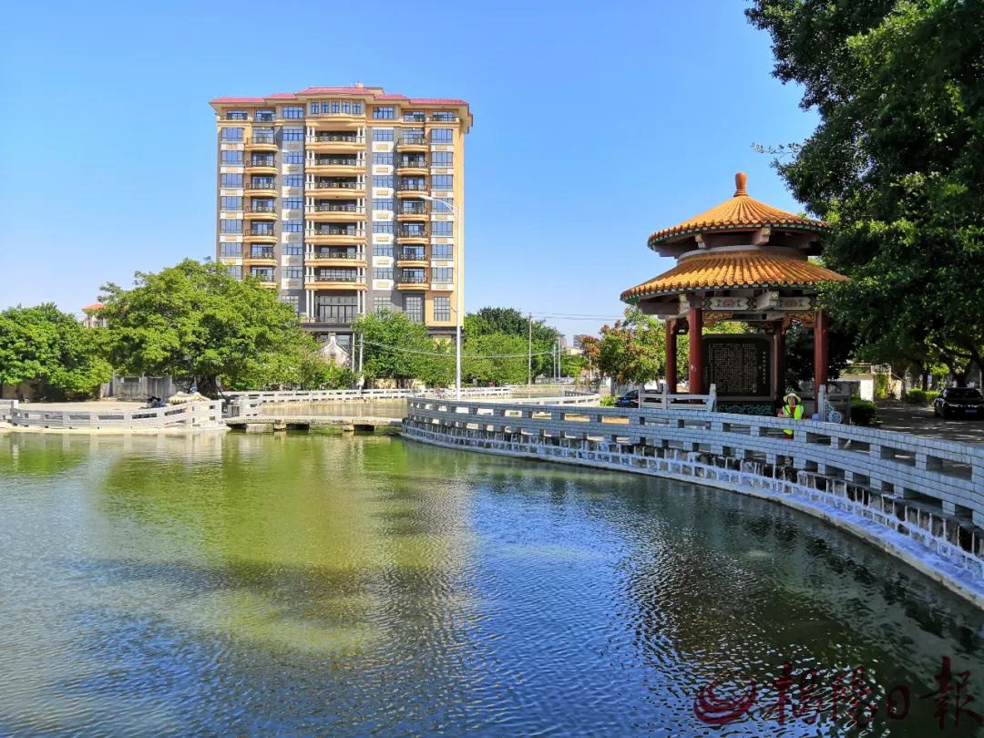 聚焦百千万工程 | 普宁市新坛村:颜值"焕新",绘就和美乡村新画卷|东兴