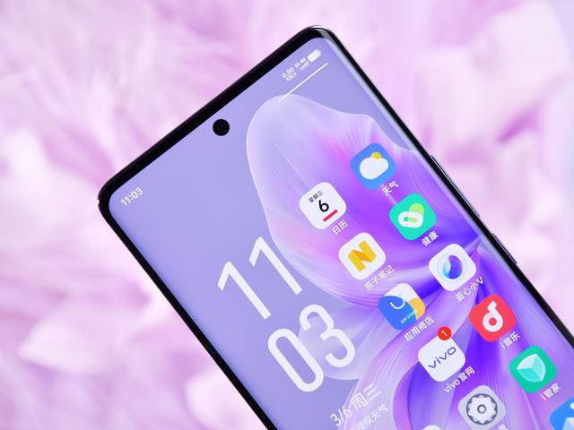 vivos18紫菱高清图赏轻奢灵巧浪漫满怀